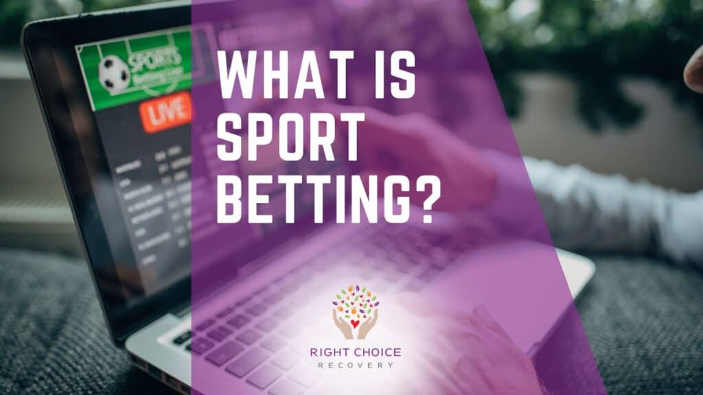 Bookies with Fantasy & eSports Mix 11 Bookies with Fantasy & eSports Mix 11